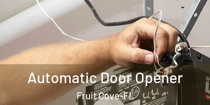  Automatic Door Opener Fruit Cove-FL