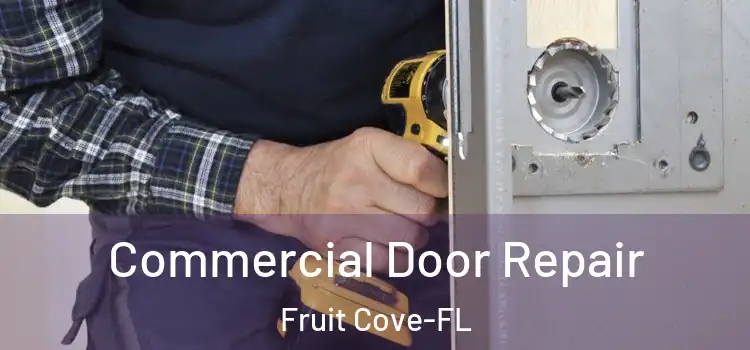  Commercial Door Repair Fruit Cove-FL