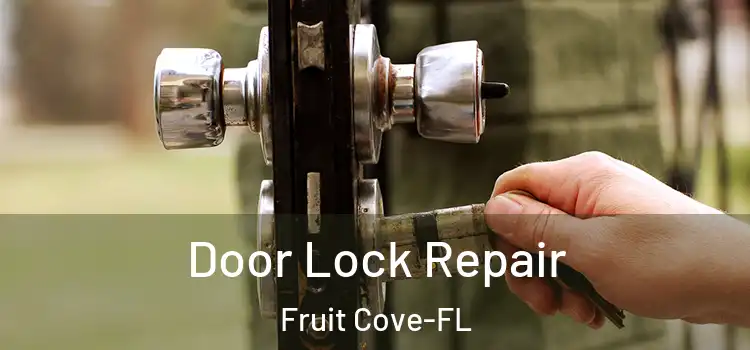  Door Lock Repair Fruit Cove-FL