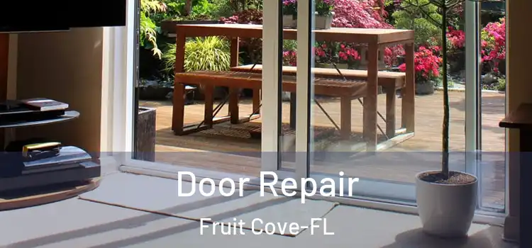  Door Repair Fruit Cove-FL