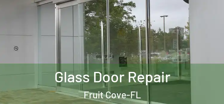  Glass Door Repair Fruit Cove-FL