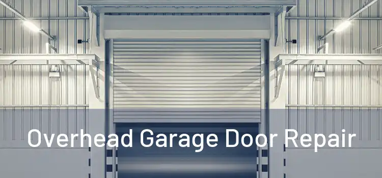  Overhead Garage Door Repair 