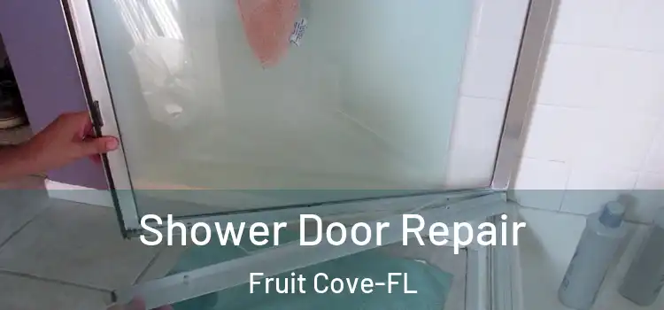  Shower Door Repair Fruit Cove-FL